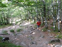 Hautes Vosges 27 08 2017  (2)